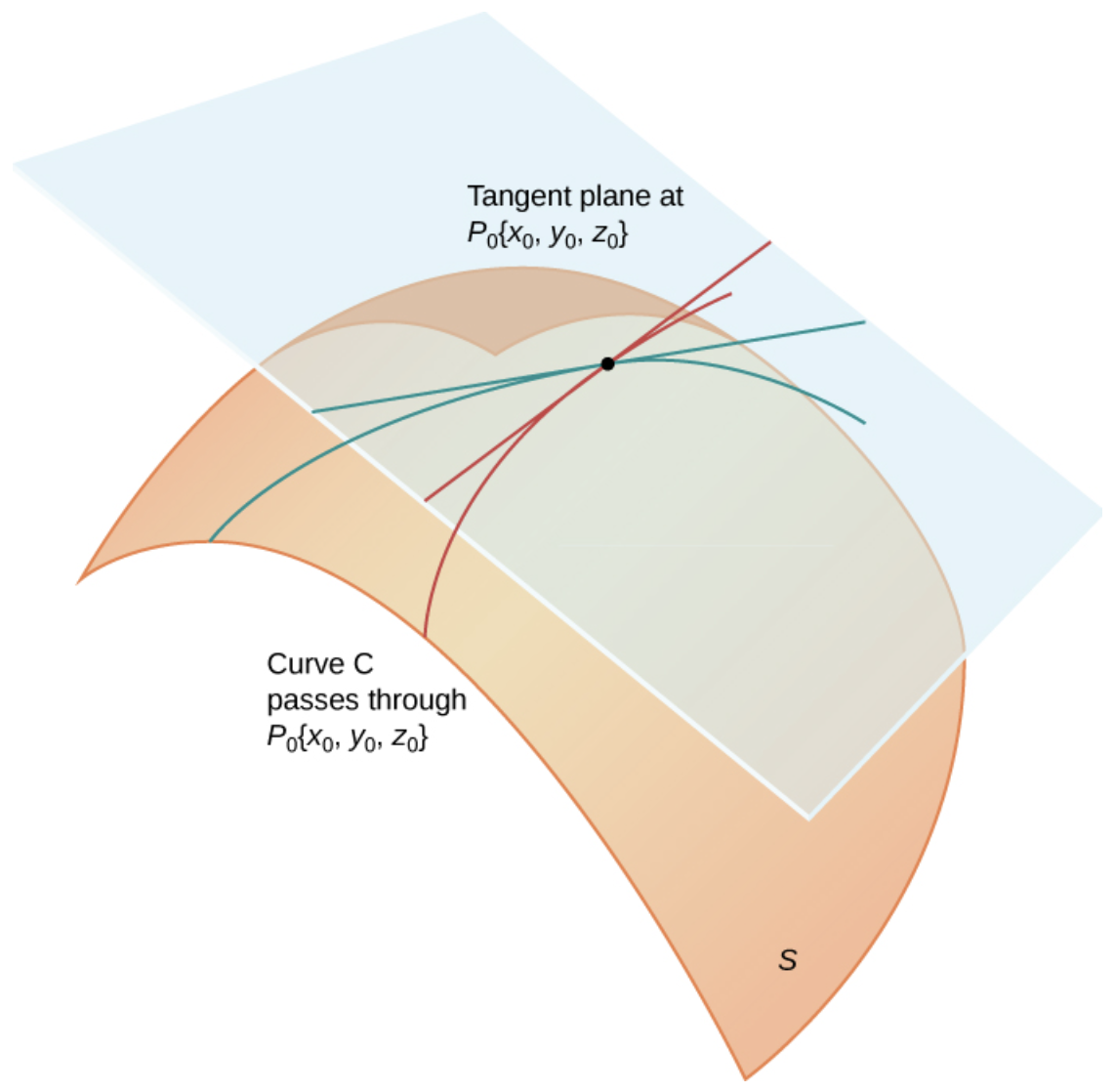A tangent plane touching a surface along tangent lines through a point.