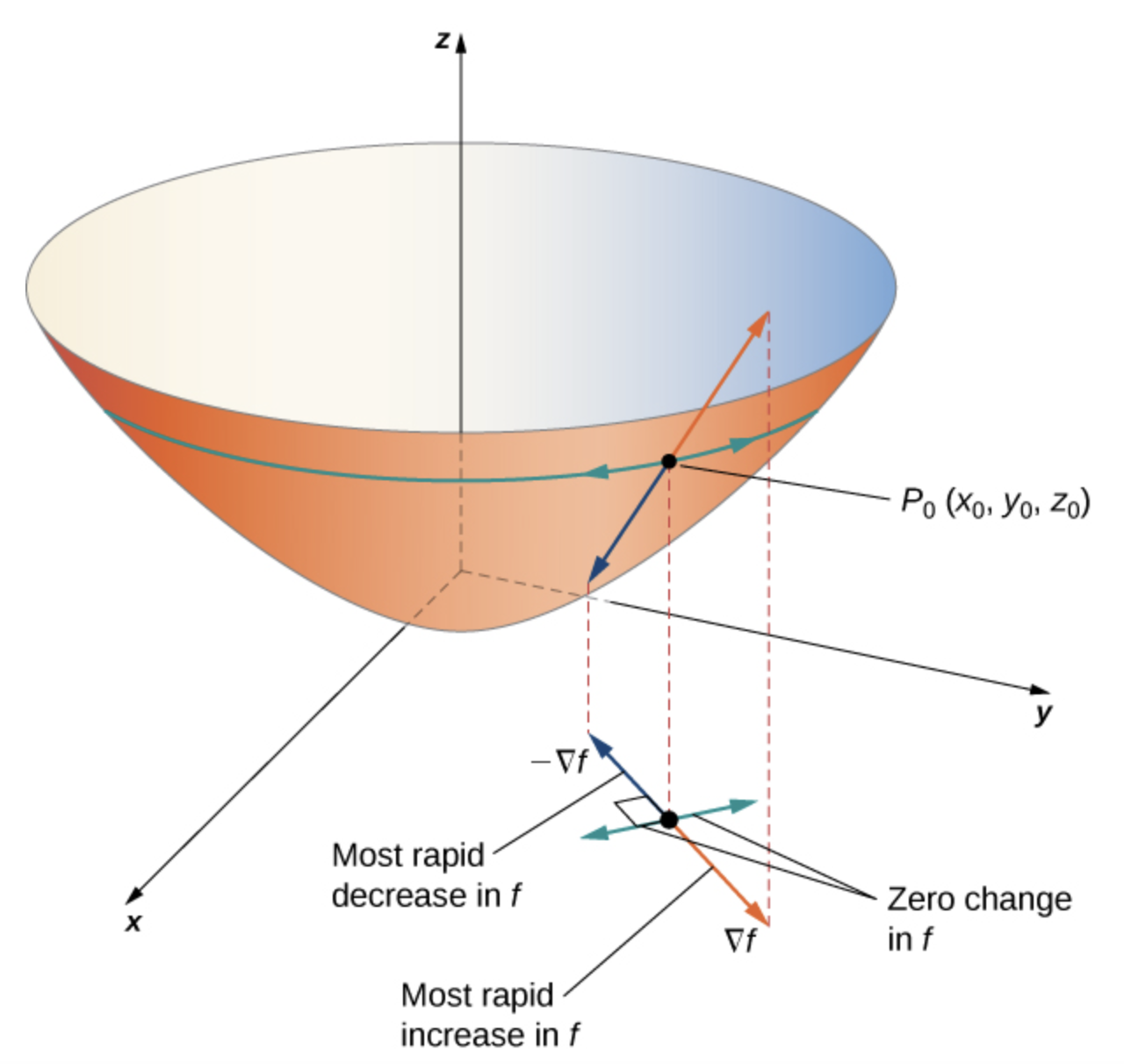 Gradient directions at a point on a surface.
