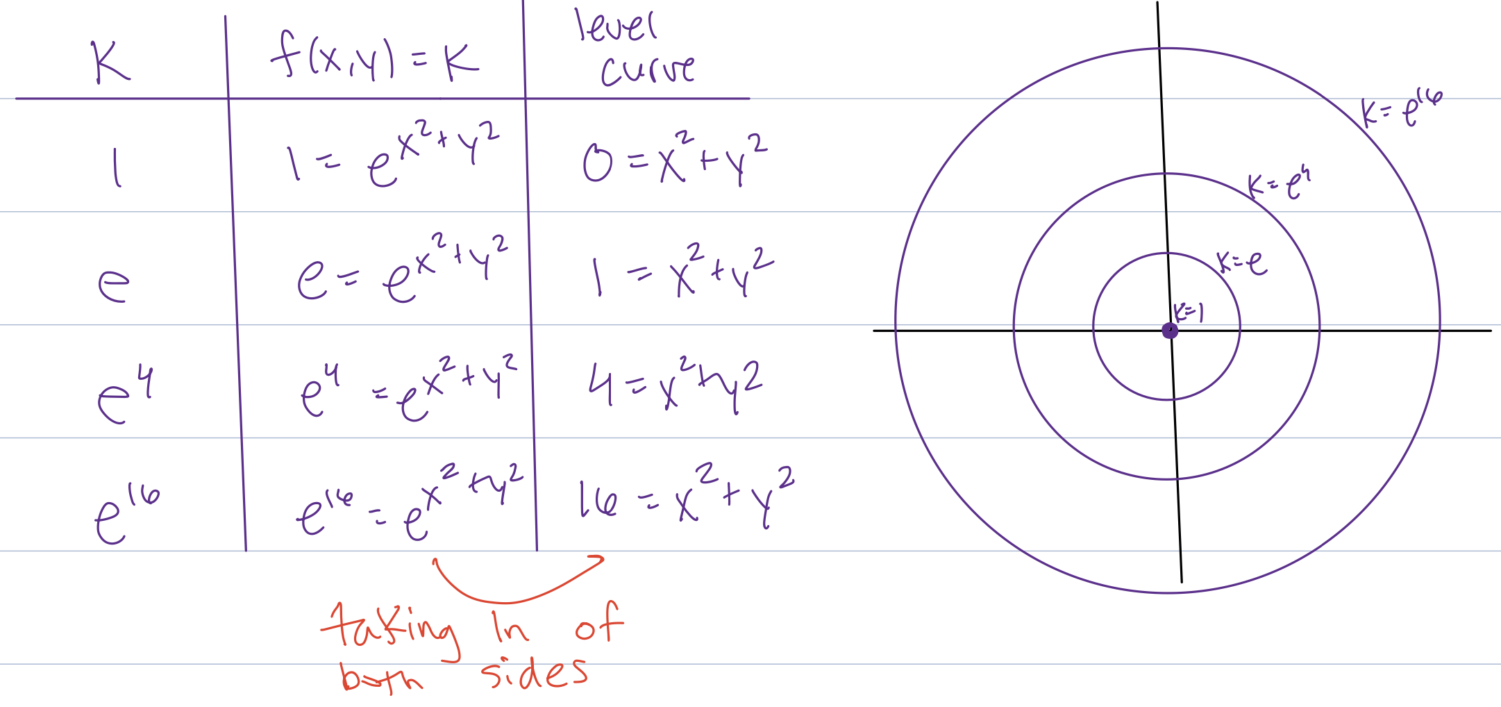 Table and concentric circular level curves for an exponential radial function.